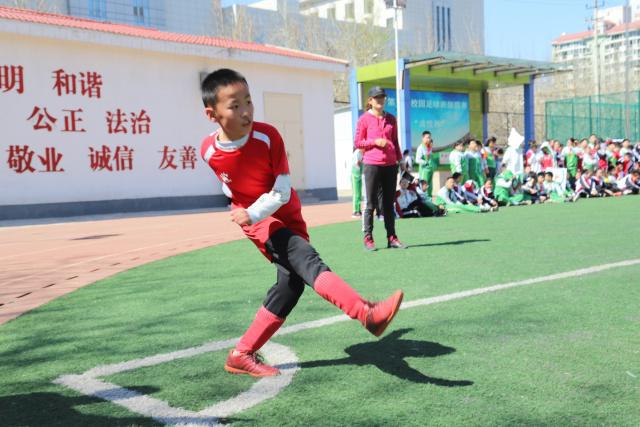 曼城欲斩埃弗顿重振旗鼓 数据支持比分或2-1